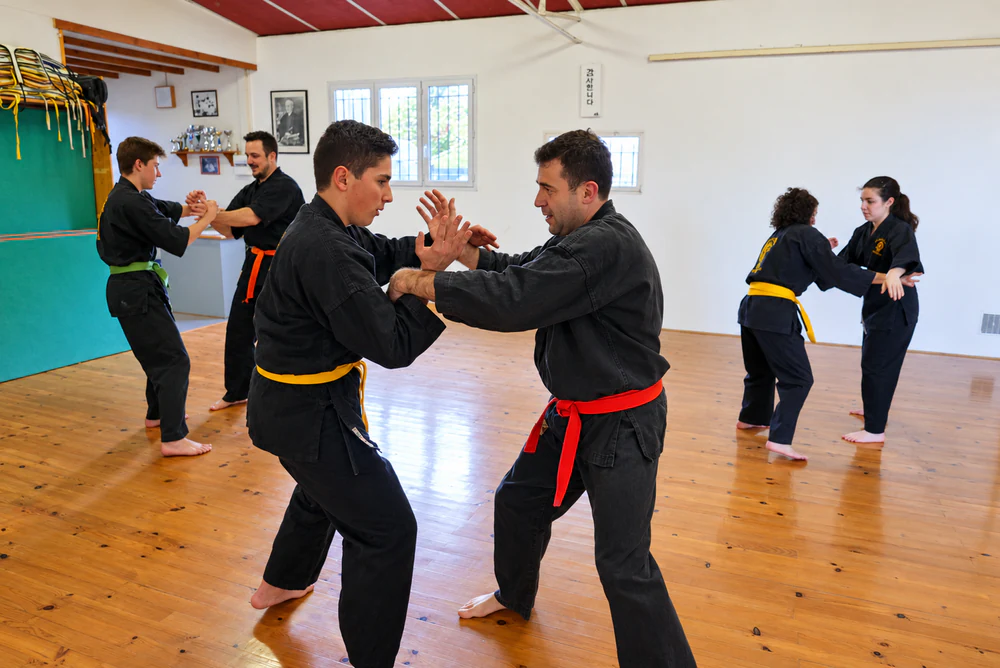 Cours de Kenpo Self Défense par binômes