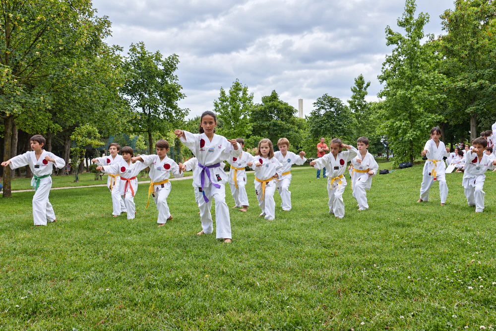 Entraînement collectif de Taekwondo en plein air
